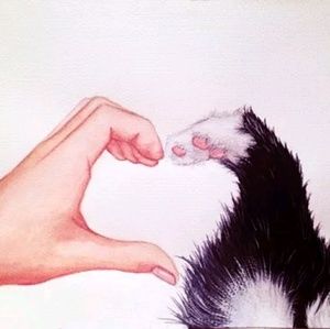 Meet your Posher, Zoey